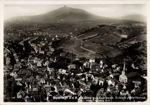 Ak Bensheim an der Bergstraße Hessen, Luftaufnahme, Auerbach, Schloss, Melibocus