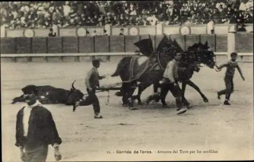 Ak Corrida de Toros, Arrastre del Toro par las mulillas, Stierkampf