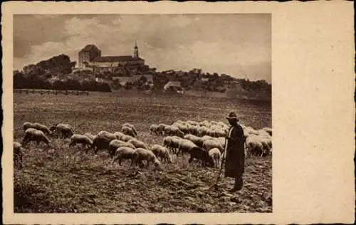 Ak Schafherde, Schäfer, Stadt im Hintergrund