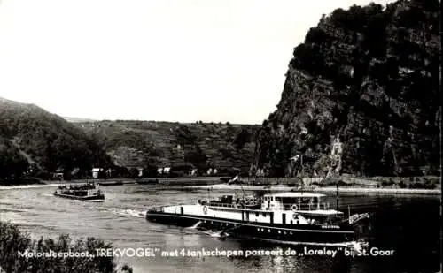 Ak Motorsleepboot Trekvogel, Phs. Van Ommeren N.V., Loreley, Rhein