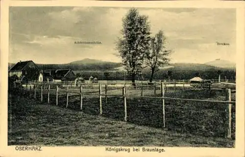 Ak Königskrug Braunlage im Oberharz, Gesamtansicht