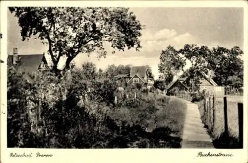 Ak Ostseebad Prerow Darß Fischland, Buchenstraße