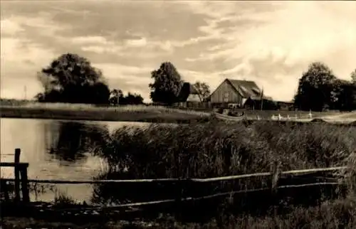 Ak Ostseebad Prerow auf dem Darß, Prerower Hafen