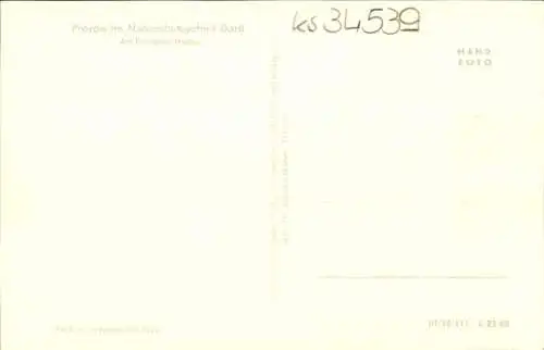 Ak Ostseebad Prerow auf dem Darß, Prerower Hafen