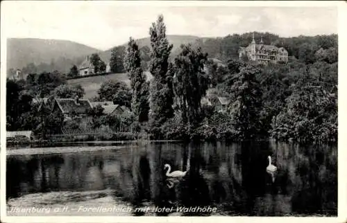 Ak Ilsenburg im Harz, Forellenteich, Hotel Waldhöhe