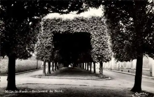 Ak Milly la Forêt Essonne, Boulevard du Nord