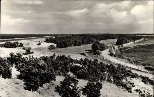 Foto Ak Treuenbrietzen in Brandenburg, Fleischerei Gustav Krüger