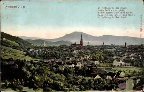 Ak Freiburg im Breisgau, Panorama