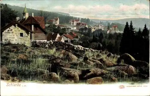 Ak Schierke Wernigerode am Harz, Ortsansicht