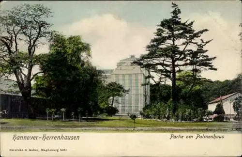 Ak Herrenhausen Hannover in Niedersachsen, Palmenhaus