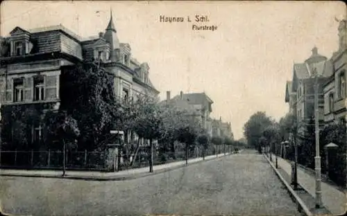 Ak Chojnów Haynau Schlesien, Flurstraße, alte Gebäude, Bäume, Straßenansicht