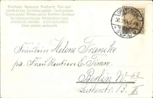 Präge Ak Fröhliches Neujahr, Jahreszahl 1905, Haselzweig
