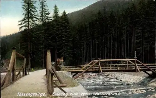 Ak Riesengebirge Region Königgrätz, Weißwasser, Eingang zum Weißwassergrund