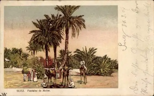 Ak Suez Ägypten, Fontaine de Moise, Chameaux