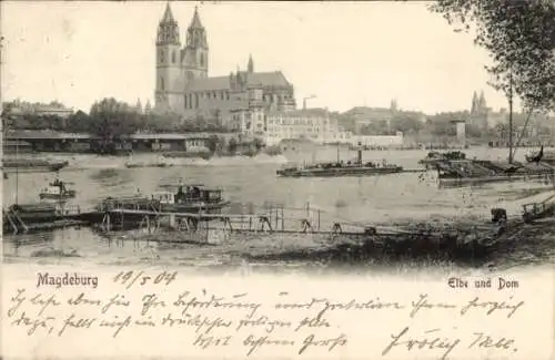 Ak Magdeburg an der Elbe, Schiffe, Dom