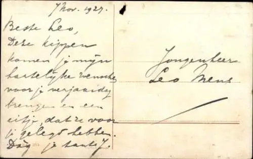 Künstler Ak Schönian, Alfred, Pfau, Hahn und Hühner