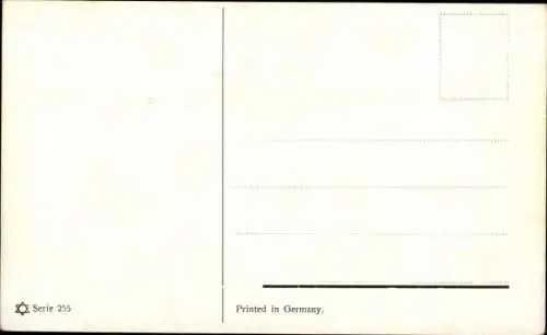 Künstler Ak Schönian, Alfred, Pfau, Hahn, Hühner, Truthahn, P. Sluis, Zaadhandel, Amsterdam