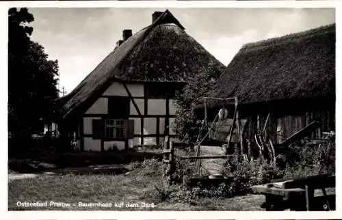 Ak Ostseebad Prerow auf dem Darß, Bauernhaus auf dem Darß