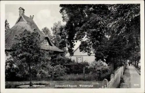 Ak Ostseebad Prerow auf dem Darß, Hülsenstraße