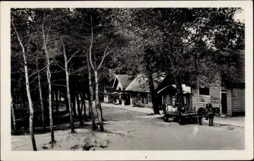 Ak Ostseebad Prerow auf dem Darß, Strandstraße