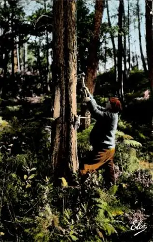 Ak Landes, das Moor, der Harzarbeiter bei der Arbeit