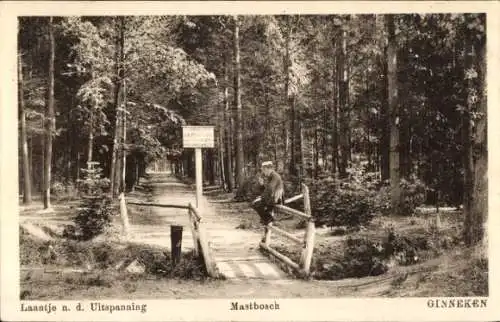 Ak Ginneken Breda Nordbrabant Niederlande, Mastbosch, Laantje n. d. Uitspanning