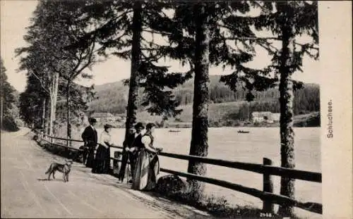 Ak Schluchsee im Schwarzwald, Passanten, Hund