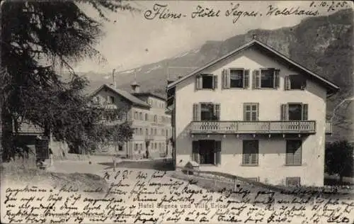 Ak Waldhaus in der Hardt Kanton Basel, Hotel Segnes und Villa Erica