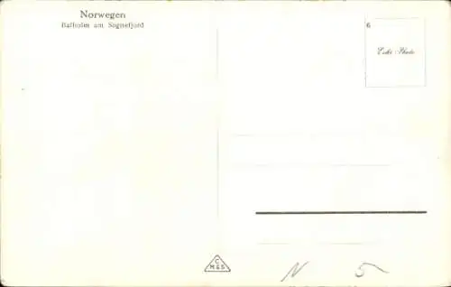 Ak Balholm Sognefjord Norwegen, Panorama