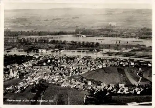 Ak Nackenheim am Rhein, Fliegeraufnahme