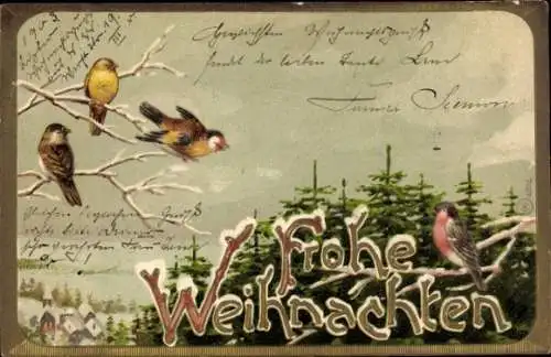 Litho Frohe Weihnachten, Tannenwald, Vögel auf verschneiten Zweigen