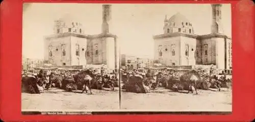 Stereo Foto Le Caire Le Caire Égypte, Marche Roumeli, Chameaux