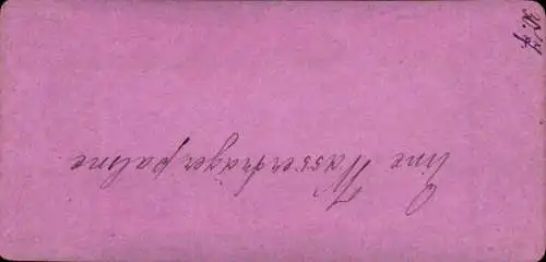 Stereo Foto Baum, Palme