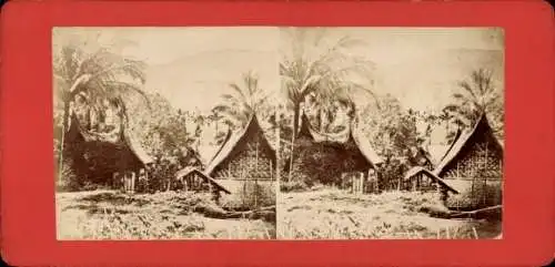 Stereo Foto Java Indonesien, Bambushütten, Palmen