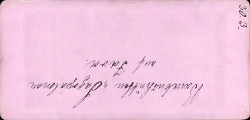 Stereo Foto Java Indonesien, Bambushütten, Palmen