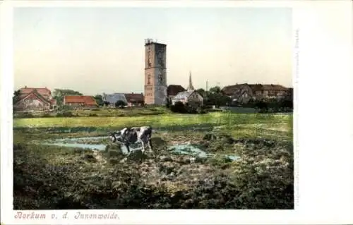 Ak Nordseebad Borkum in Ostfriesland, Blick von der Innenweide