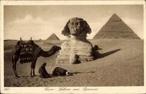 Ak Cairo Kairo Ägypten, Sphinx and Pyramids, Camel