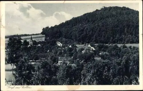 Ak Collm Wermsdorf in Sachsen, Gesamtansicht, Berg