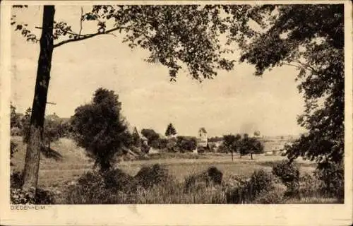 Ak Didenheim Diedenheim Elsass, Landschaft, Blick zum Ort