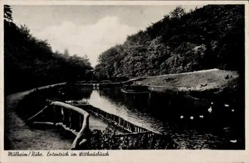 Ak Mülheim an der Ruhr, Ententeich im Witthausbusch