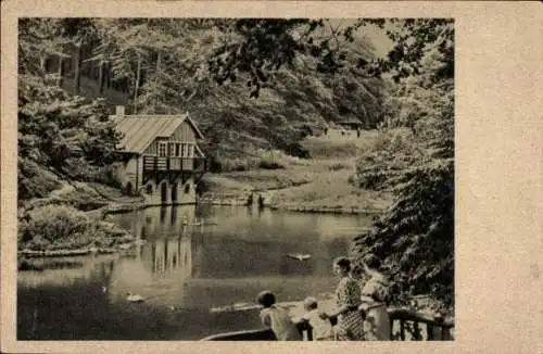 Ak Witthausbusch Mülheim an der Ruhr, Blick in den Witthausbusch