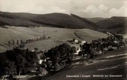 Ak Eibenstock im Erzgebirge Sachsen,  Erzgebirge, Wildental bei Eibenstock