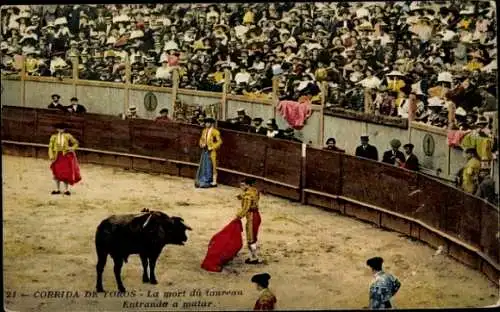 Ak Stierkampf, La mort du taureau, Eintritt zum Töten