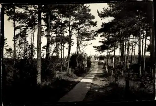 Foto Seeheilbad Zingst an der Ostsee, Weg zum Strand