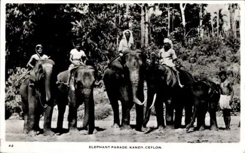 Ak Kandy Ceylon Sri Lanka, Elephant Parade, Elefanten