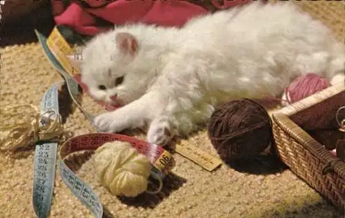 Ak Weiße Katze, Wollknäuel, Nähzubehör