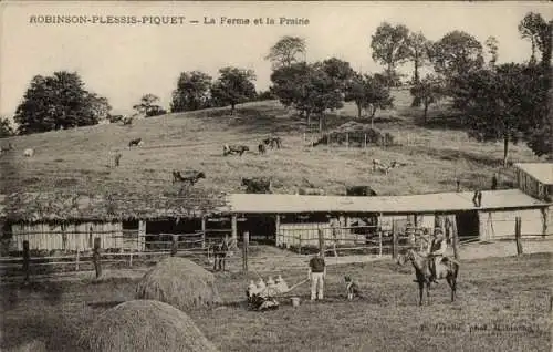 Ak Robinson Plessis Piquet Hauts de Seine, La Ferme et la Prairie