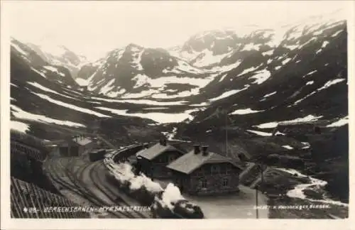 Foto Ak Vatnahalsen Myrdal Norwegen, Bergensbanen, Bahnhof, Bergpanorama