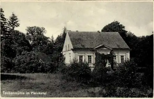 Ak Drzewce Leichholz Ostbrandenburg, Taubenmühle im Pleisketal