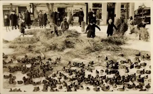 Foto Ak Ostseebad Travemünde Lübeck, Winter, Enten am Strand, Kinder mit Stroh